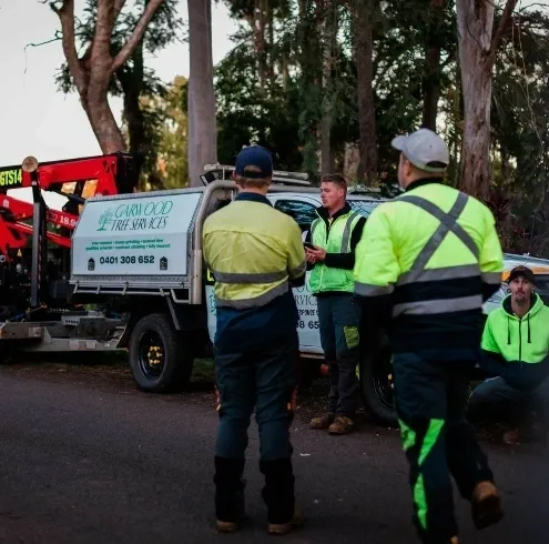 Tree Lopping in Ipswich
