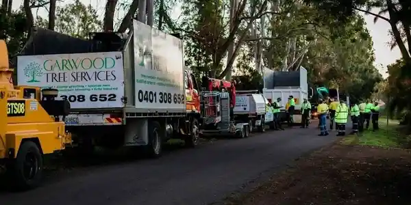 garwood tree services in toowoomba and ipswich