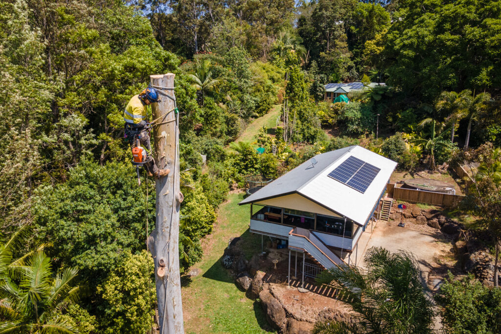 garwood tree services in toowoomba and ipswich