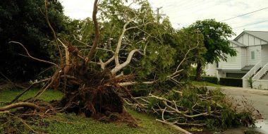 SEQ-Storm-Season-Tree-Safety-Guide